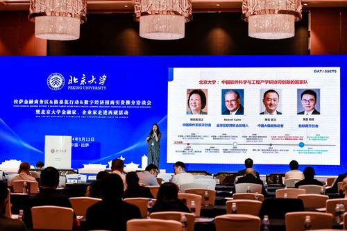 数字经济新引擎 2024拉萨金融商务区格桑花行动招商引资洽谈会启航