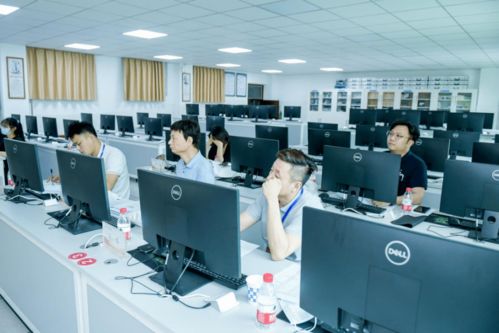 第十一届全国大学生电子商务“三创”挑战赛河南赛区选拔赛在河南牧业经济学院圆满落幕